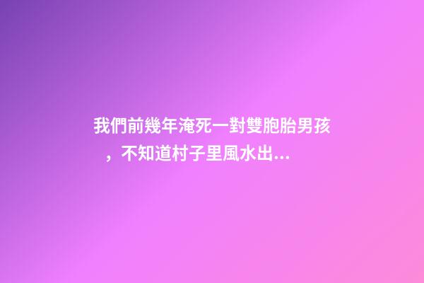 我們前幾年淹死一對雙胞胎男孩，不知道村子里風水出了什么問題導
